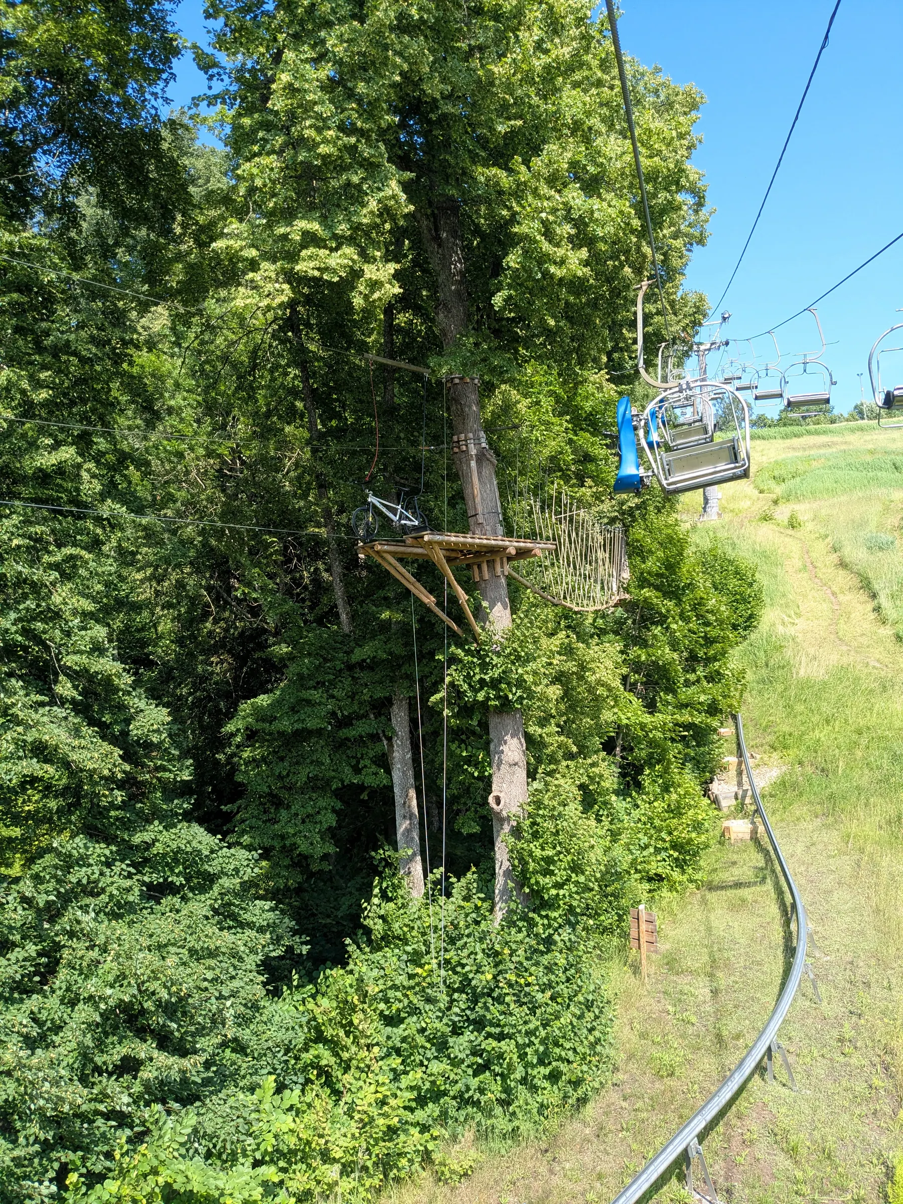 Outdoor adventure obstacles among the trees at Tarzāns in Sigulda