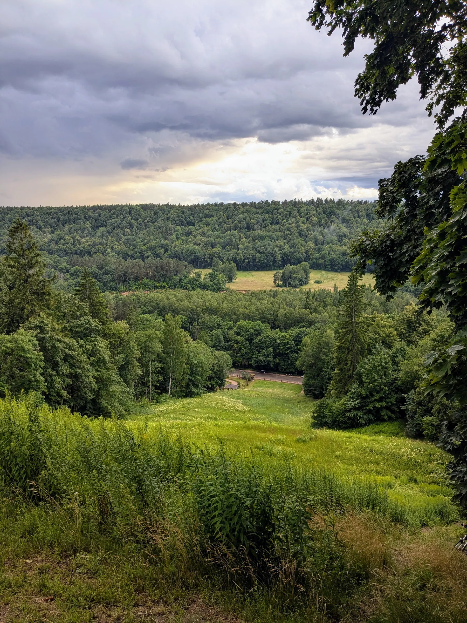 A steep forest trail climbing through the hills around Sigulda