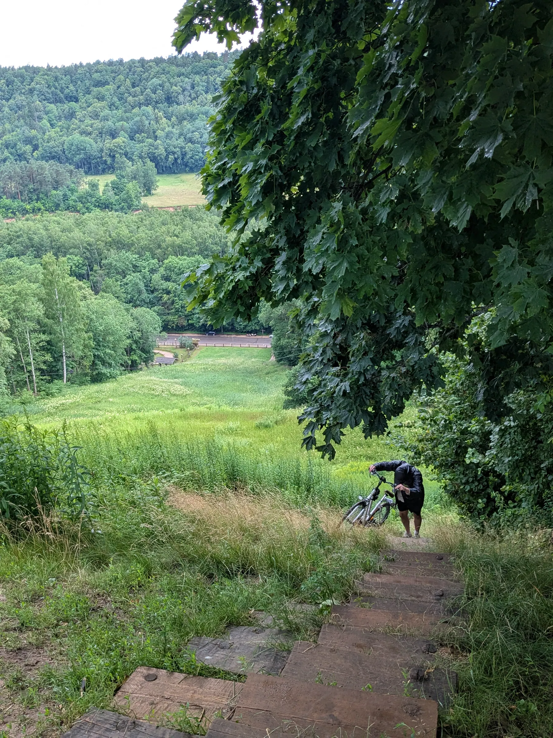 A wet woodland path near Tarzāns in Sigulda