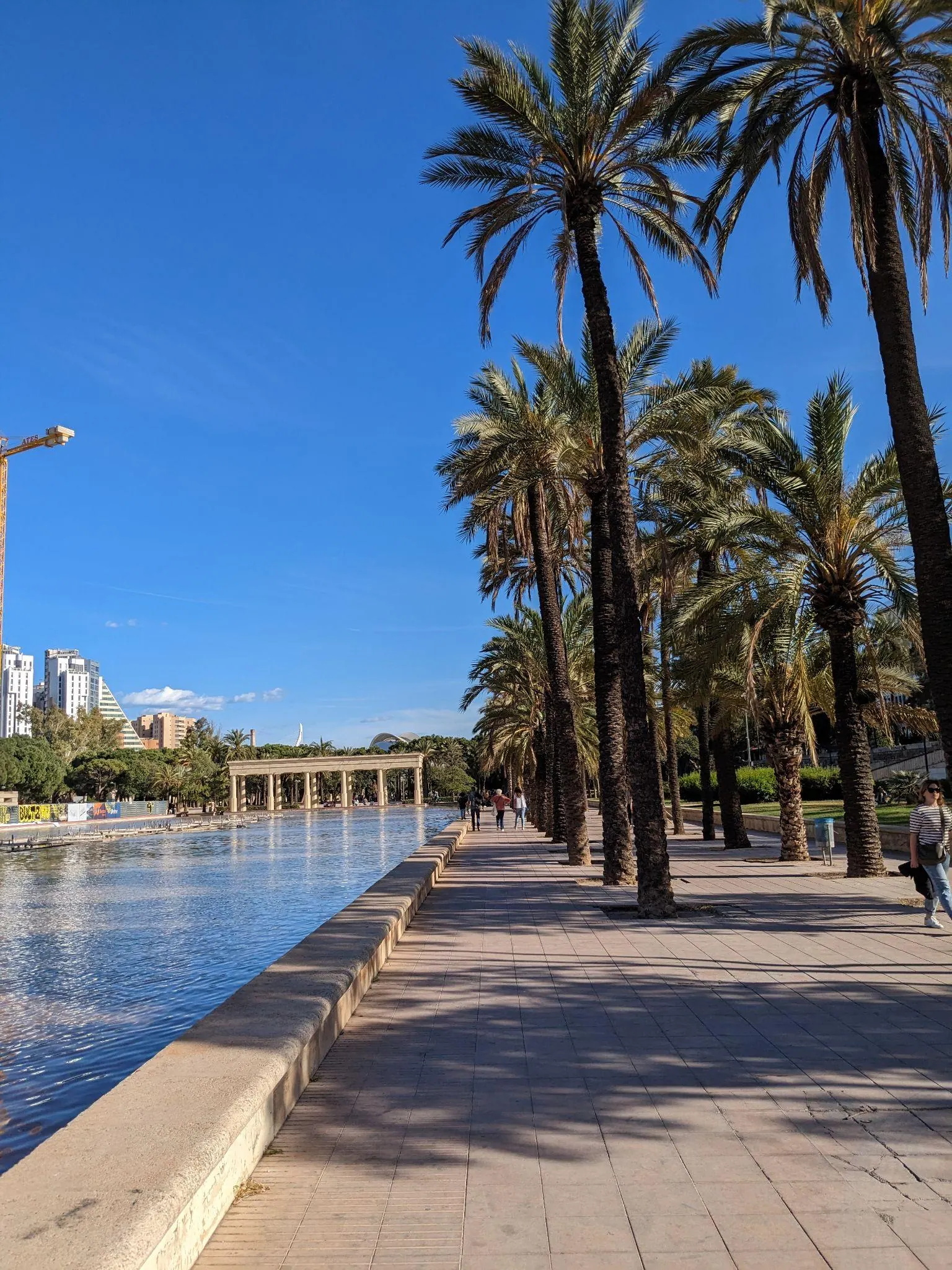 Césped soleado, palmeras y arcos de puente histórico en el Jardín del Turia