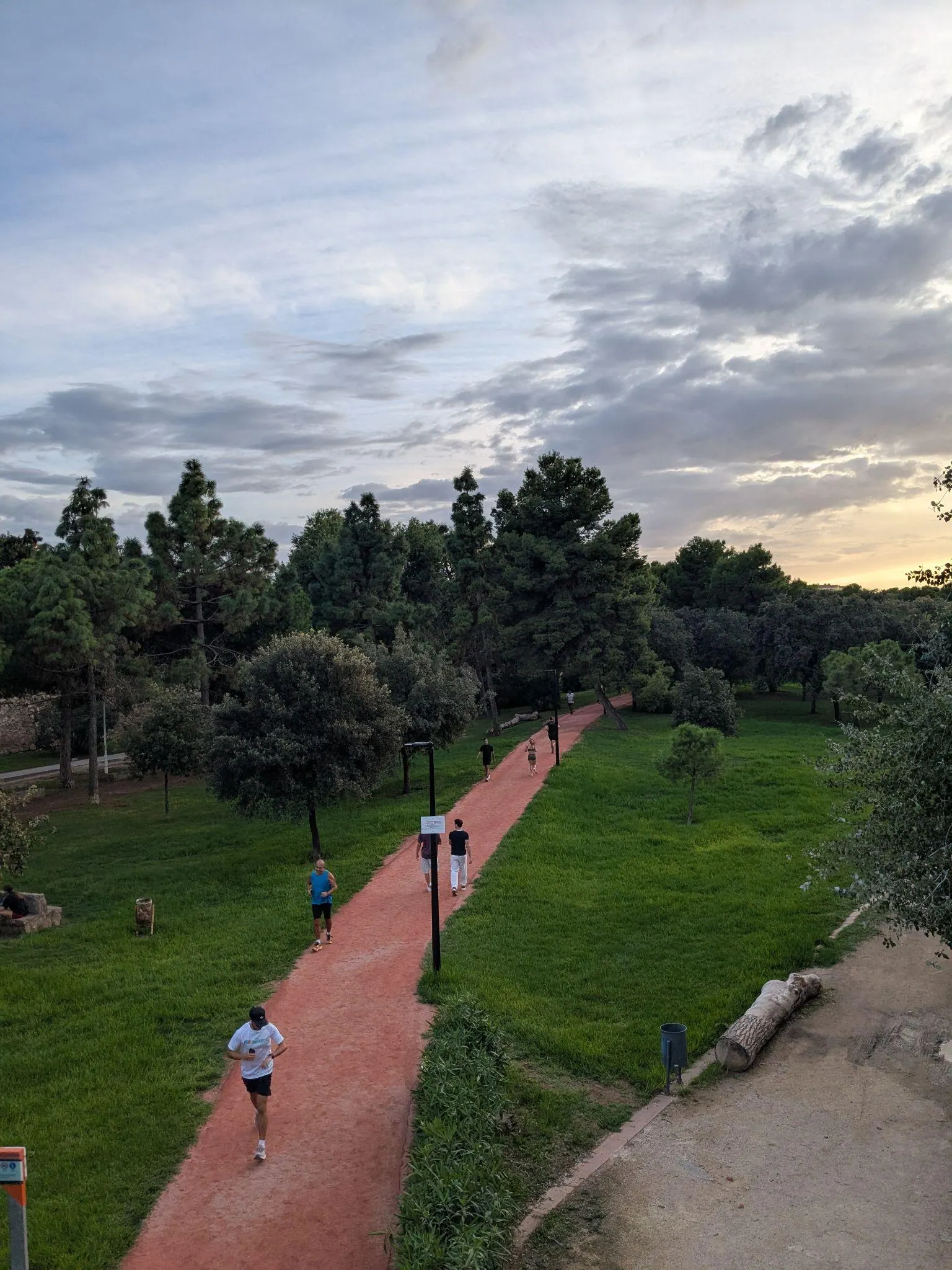 Carril bici asfaltado rodeado de jardines frondosos en el Jardín del Turia