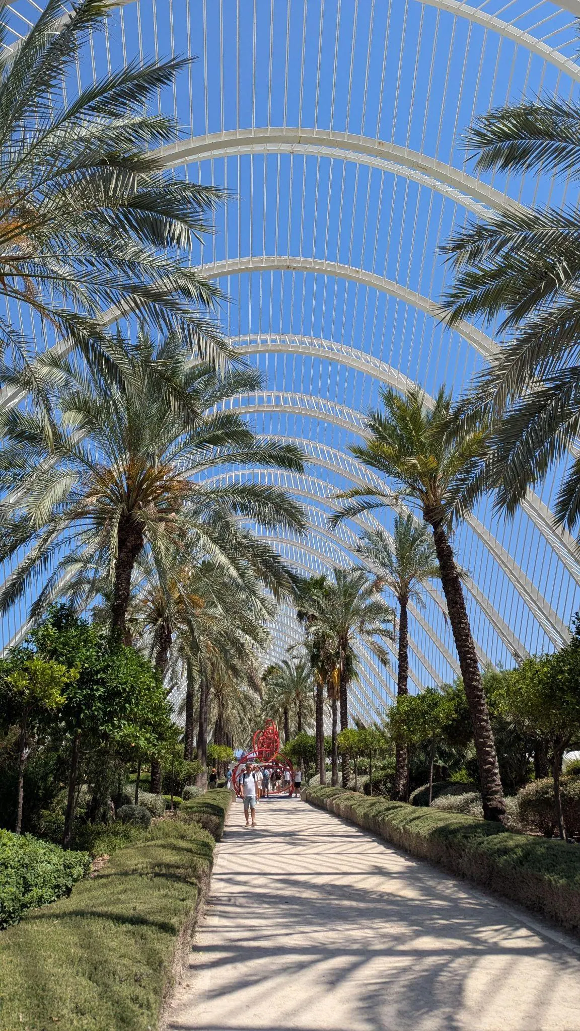 Paseo bajo los arcos blancos y palmeras mediterráneas en L Umbracle