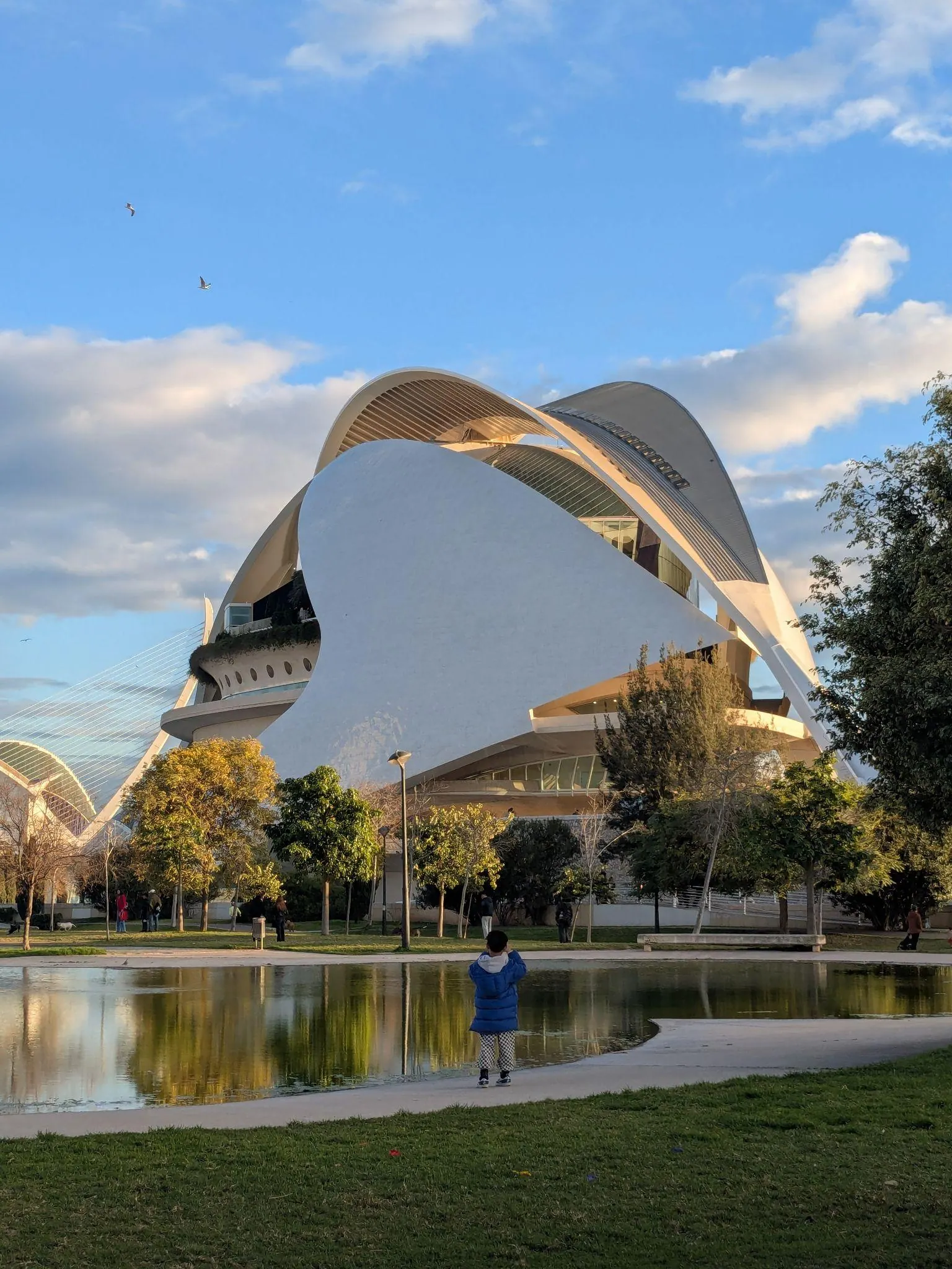 Estructura curva vanguardista y arcos del Palau de les Arts Reina Sofía reflejados en el estanque turquesa