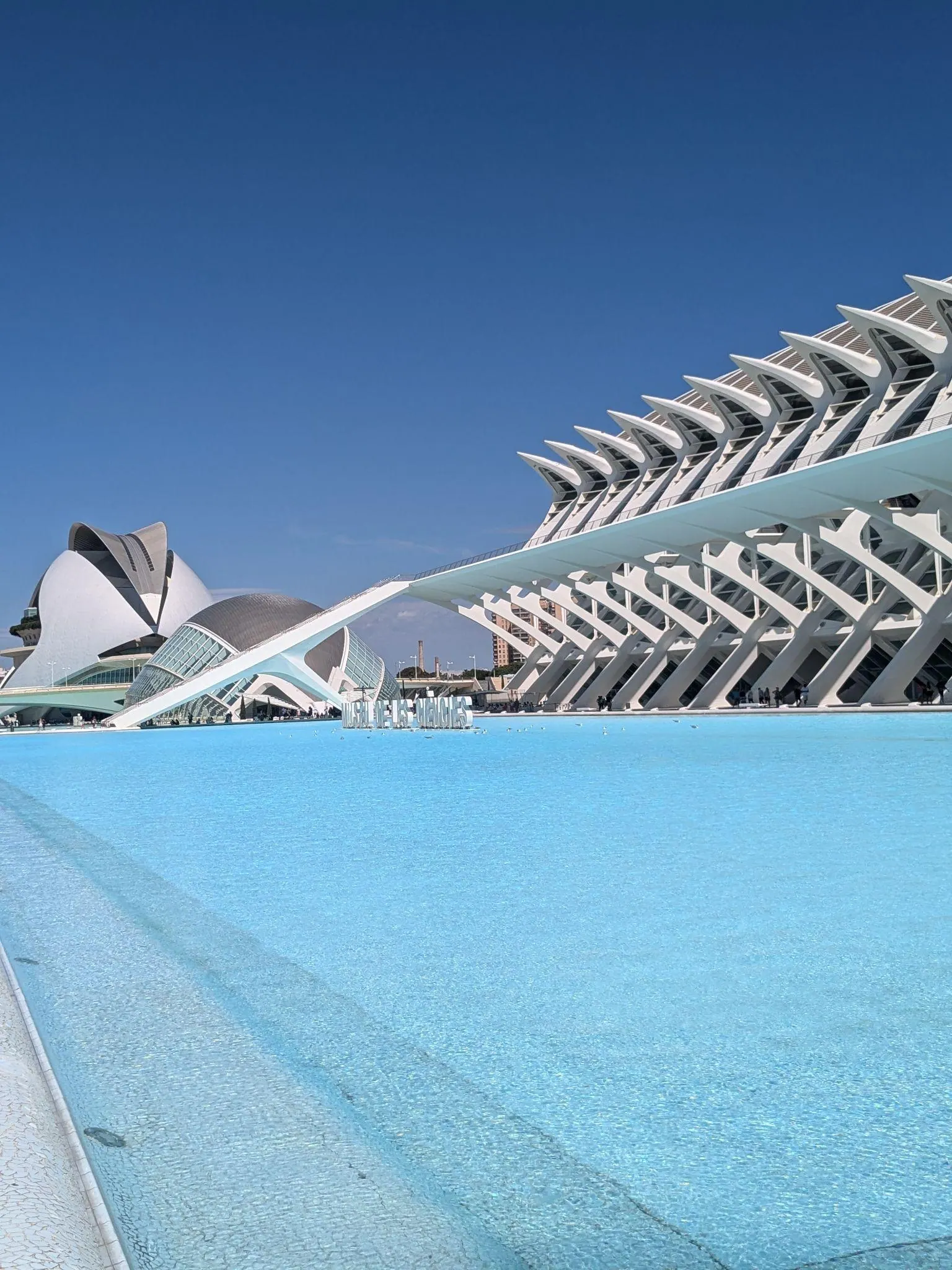 Estructura de hormigón blanco con nervaduras esculturales del Museu de les Ciències Príncipe Felipe junto a los estanques