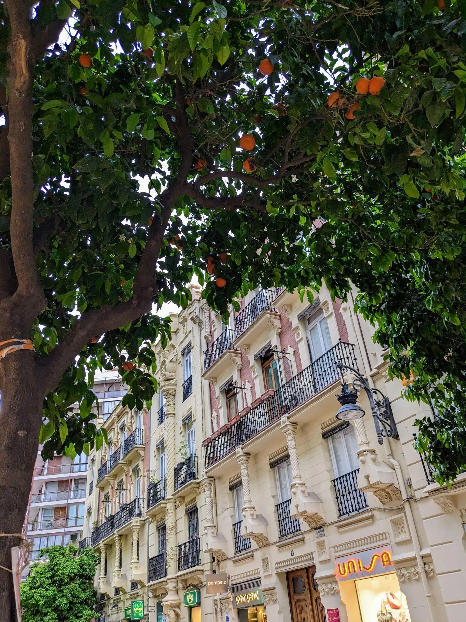 Calle residencial elegante con fachadas modernistas en Calle Jorge Juan cerca del Mercado de Colón