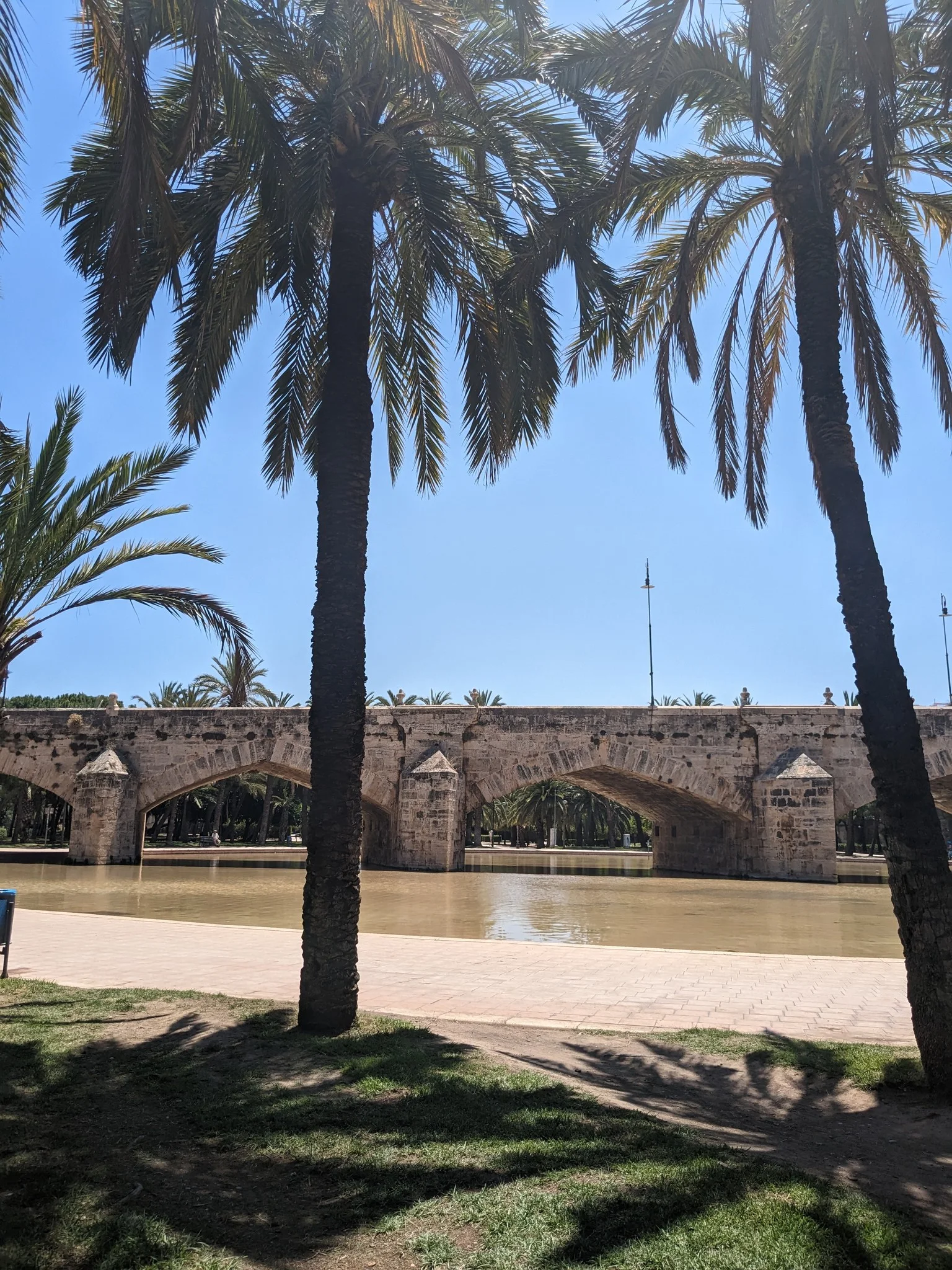 Arcos de piedra históricos del Puente del Mar reflejados en el estanque y enmarcados por palmeras en el Jardín del Turia