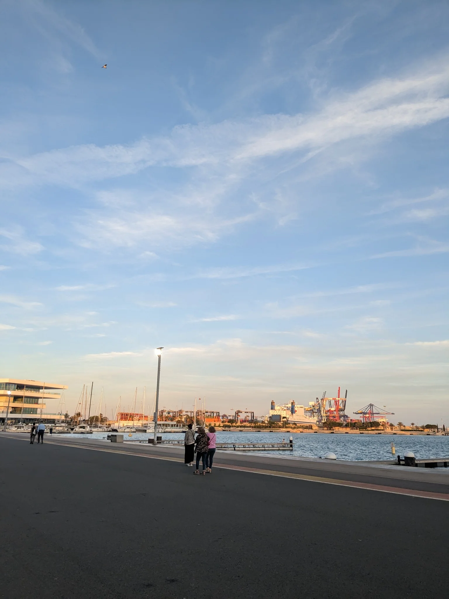 Paseo marítimo del puerto con palmeras, edificios modernos y dársena en la Marina de València