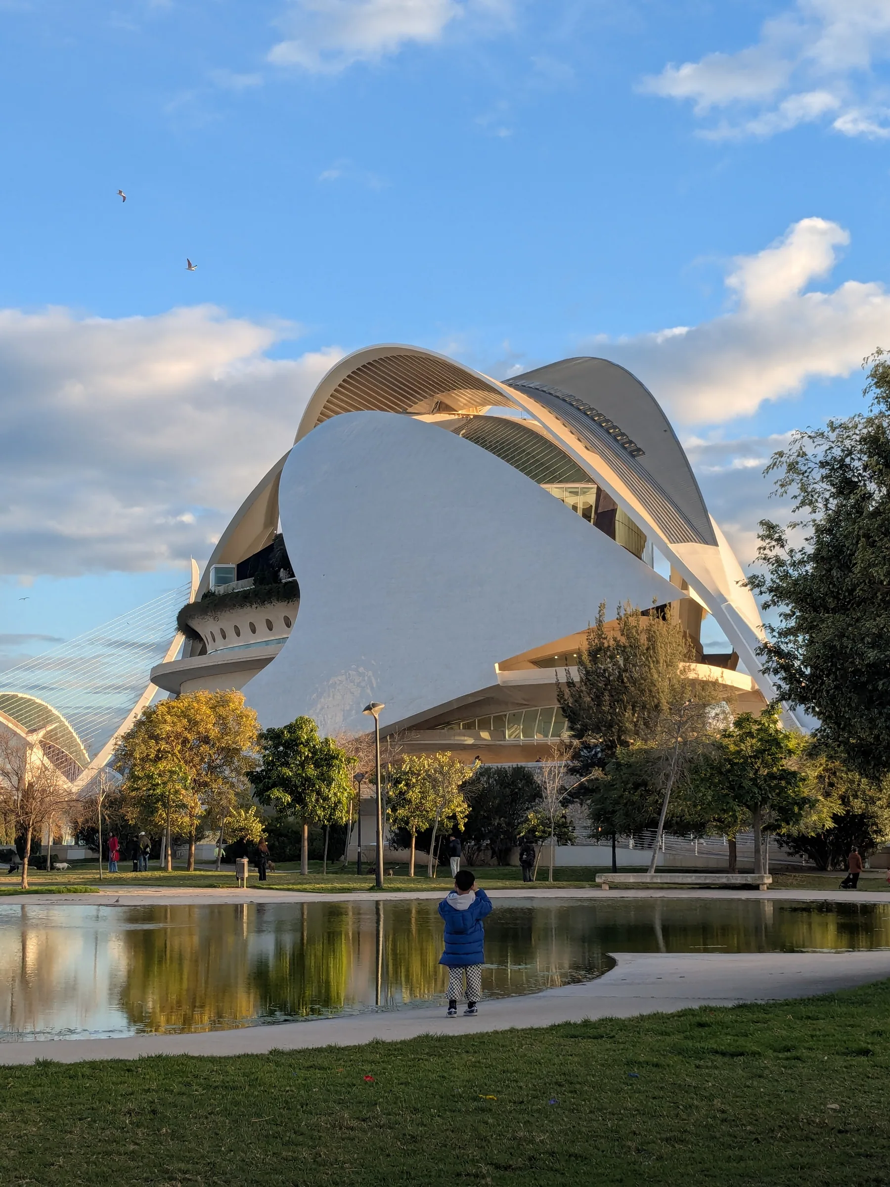 Palau de les Arts Reina Sofía illuminated in late afternoon light across the calm waters of the Turia Gardens reflecting pool
