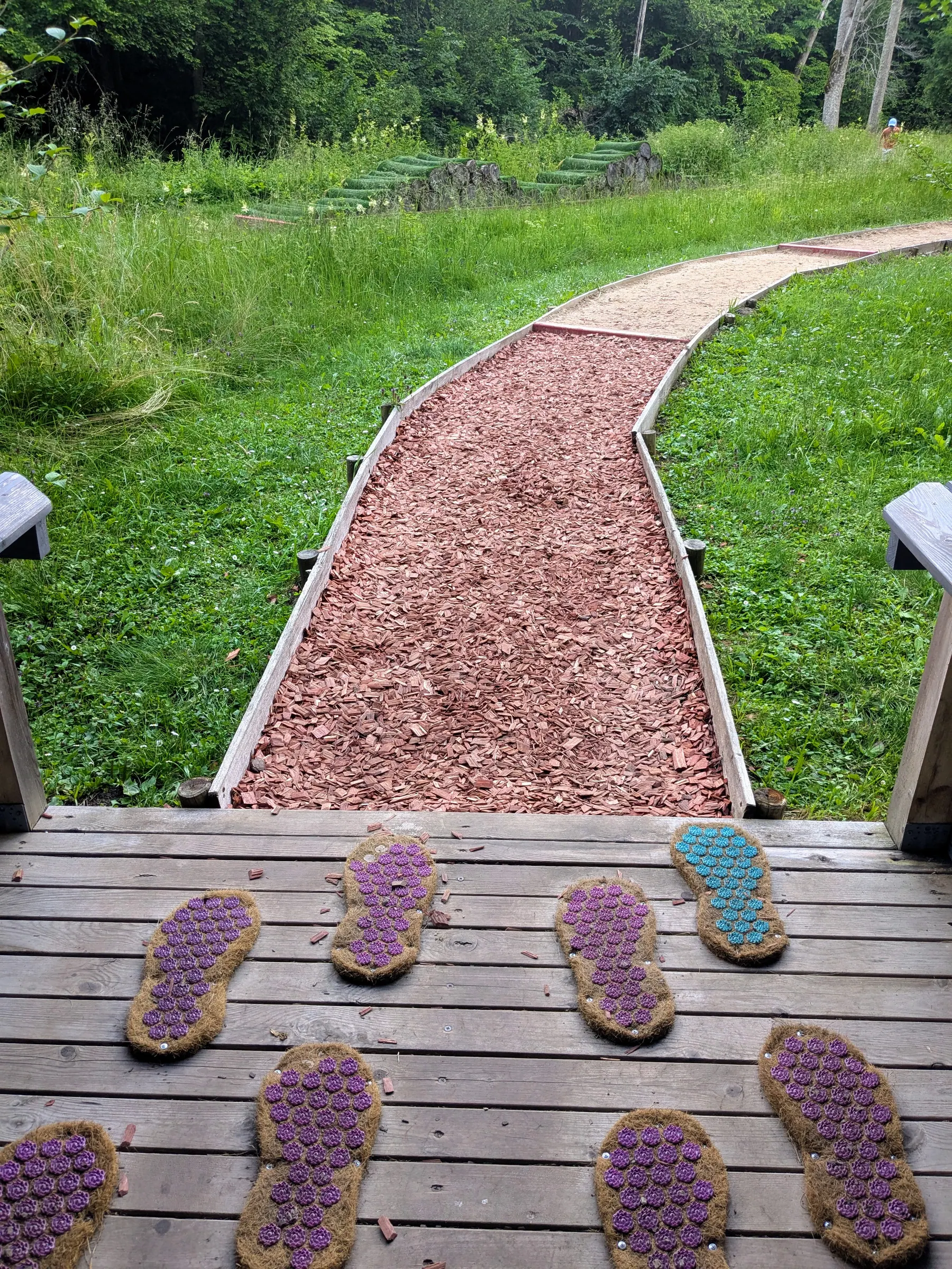 A wood-chip section of the barefoot trail at Valguma Pasaule